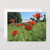 Rode papaver bij Kew-tuinen Briefkaart (Voorkant / Achterkant)
