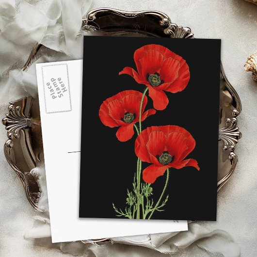 rode papaver botanisch briefkaart