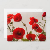 Rode papaver briefkaart (Voorkant / Achterkant)