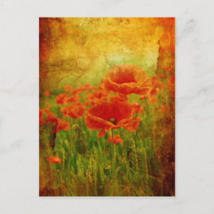 Rode papaver  briefkaart