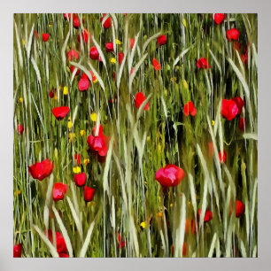 Rode papaver in een wielveldef poster