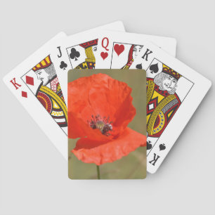Rode papaver in het veld pokerkaarten