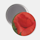 Rode papaver magneet (Voorkant / Achterkant)