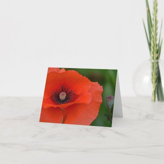 Rode Papaver Notecard Kaart (Voorkant)