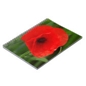 Rode papaver notitieboek (Linkerzijde)
