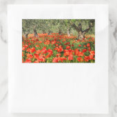 Rode papaver onder oude olijfbomen rechthoekige sticker (Tas)