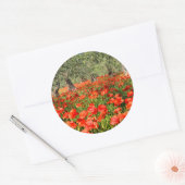 Rode papaver onder oude olijfbomen ronde sticker (Envelop)