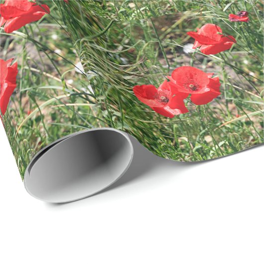 Rode papaver op El Camino Cadeaupapier (Rol Hoek)