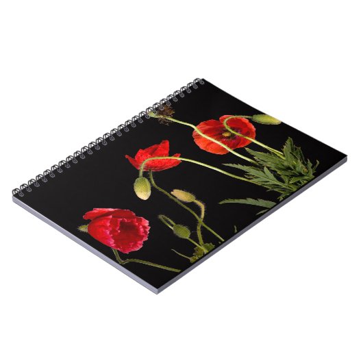 Rode papaver op zwart notitieboek (Linkerzijde)