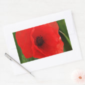Rode papaver rechthoekige sticker (Envelop)