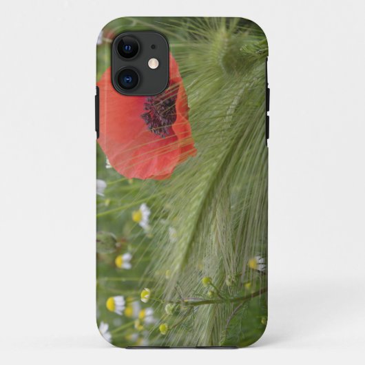Rode papaver, Toscane, Italië Case-Mate iPhone Case (Achterkant)