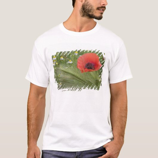 Rode papaver, Toscane, Italië T-shirt (Voorkant)