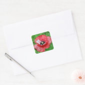 Rode papaver vierkante sticker (Envelop)