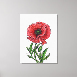 Rode papaver, waterverf en inkt canvas afdruk