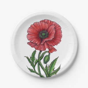 Rode papaver, waterverf en inkt papieren bordje