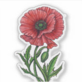 Rode papaver, waterverf en inkt sticker (Voorkant)