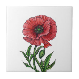 Rode papaver, waterverf en inkt tegeltje