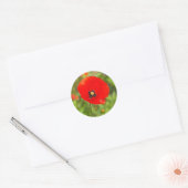 Rode papaverbloem ronde sticker (Envelop)