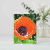 Rode papaverfoto briefkaart (Staand voorkant)