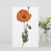 Rode papavers — botanische afdruk briefpapier (Staand voorkant)