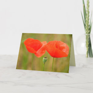 Rode Papavers in Hongarije Greetingcard Kaart