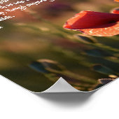 Rode papavers, in Vlaanderen Fields gedicht Poster (Hoek)