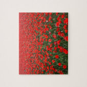 Rode papavers legpuzzel (Verticaal)