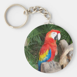 Rode papegaaien sleutelhanger