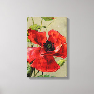 rode paprika met verrekte canvas afdrukken