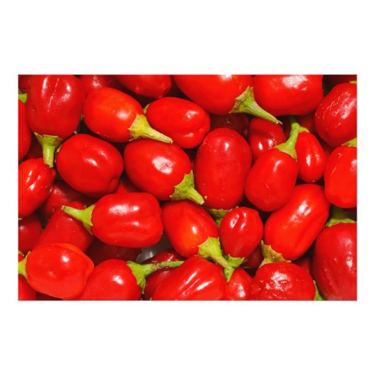 Rode paprika's foto afdruk (Voorkant)