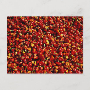 Rode paprika's, Myanmar Briefkaart