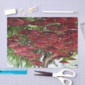 Rode paraplu's in de lucht - Aziatisch tissuepapie Tissuepapier (Craft)