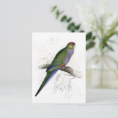 Rode Parrakeet (Vrouw) door Edward Lear Briefkaart (Staand voorkant)