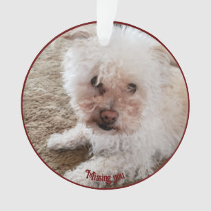 Rode Pawprint Gevulde Hart Vorm, Huisdier Citaat,  Ornament