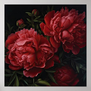 Rode Pioenrozen Bloemen Art Print Poster