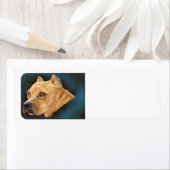 Rode Pitbull Hond Etiket (Insitu)