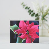 Rode Poinsettia Briefkaart (Staand voorkant)