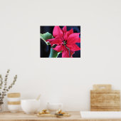 Rode Poinsettia Poster (Keuken)