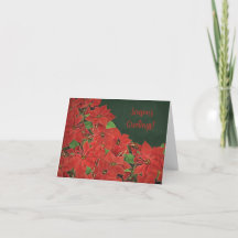 Rode Poinsettia Seizoenskaart