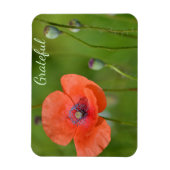  Rode Poppy Gratitude Magneet (Verticaal)