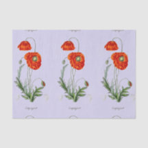 RODE POPPY LAVENDER WEEFSELPAPIER