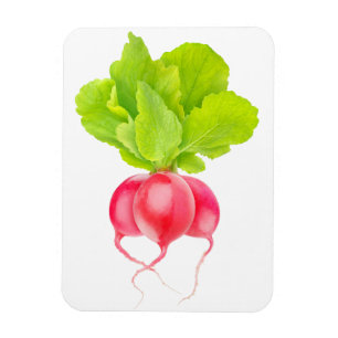 Rode radicalen magneet