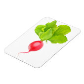 Rode radijs magneet (Linkerzijde)