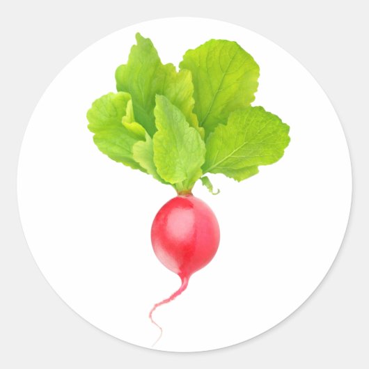 Rode radijs ronde sticker (Voorkant)