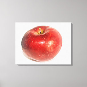Rode Rijpe Appel Geïllustreerde Kunst Canvas Afdruk