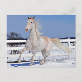 Rode Roan in sneeuw Briefkaart