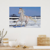 Rode Roan in sneeuw Poster (Keuken)