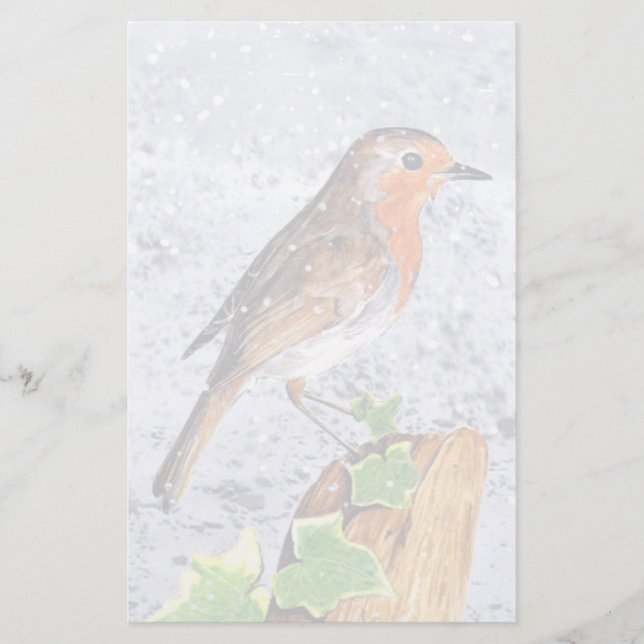 Rode robin in de sneeuwkunst (Voorkant)