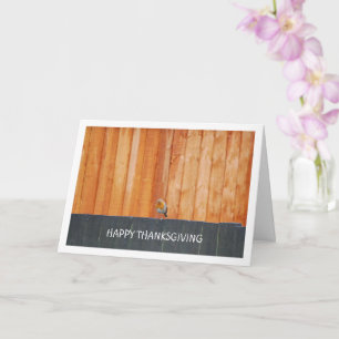 Rode Robin op hek Kaart