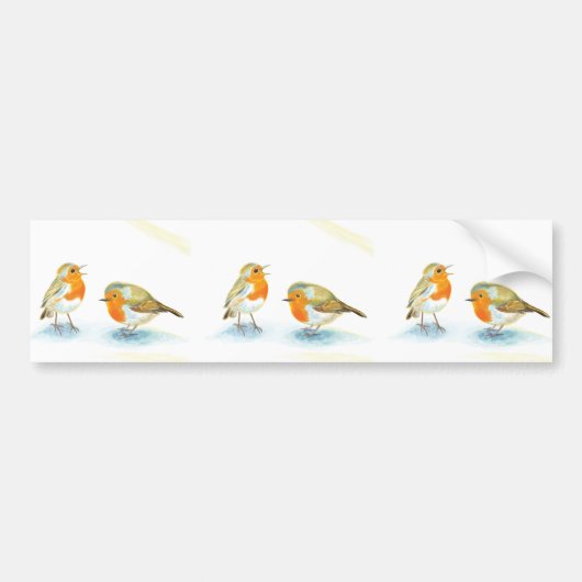 Rode Robins in de winter Bumpersticker (Voorkant)